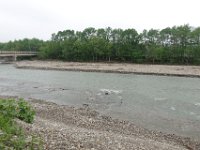 img (316)
